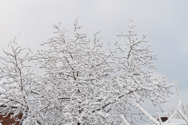 Similar image 1044700