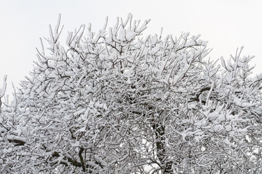 Similar image 1044701