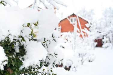 Similar image 1044704