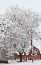 Similar image 1044726