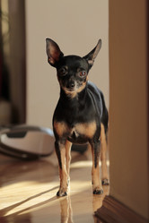 Similar image 1044761