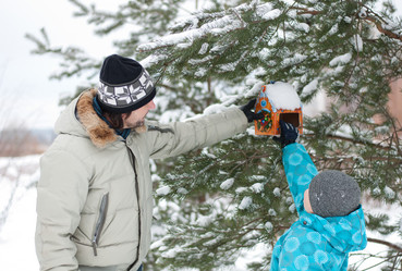 Similar image 1044829