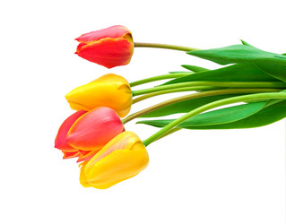 Similar image 1044850