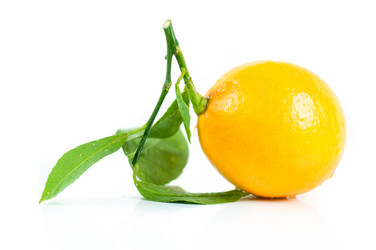 Similar image 1044926