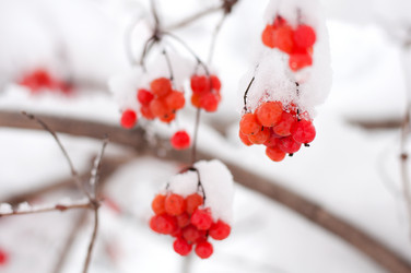 Similar image 1044928