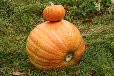 Similar image 1045027