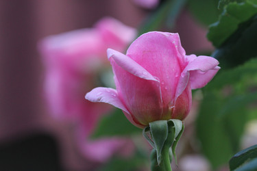 Similar image 1045031