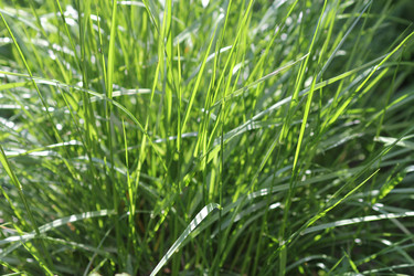 Similar image 1045037