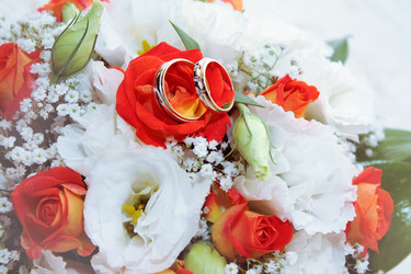 Similar image 1045352