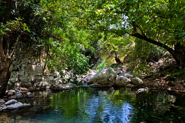 Similar image 1045488