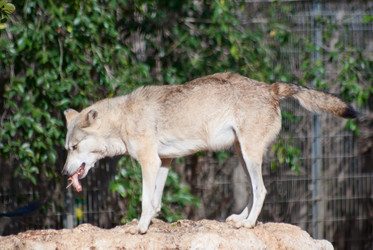 Similar image 1045495