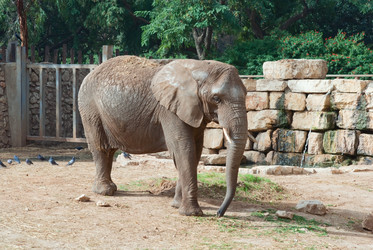 Similar image 1045499