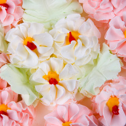 Similar image 1045506