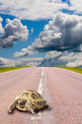 Similar image 1045525