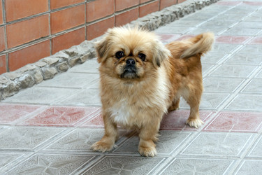 Similar image 1045563