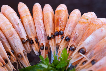 Similar image 1045618