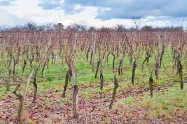 Similar image 1045778