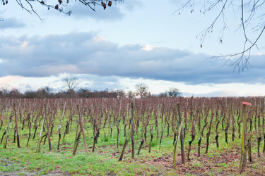 Similar image 1045779