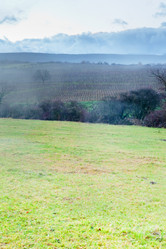 Similar image 1045780