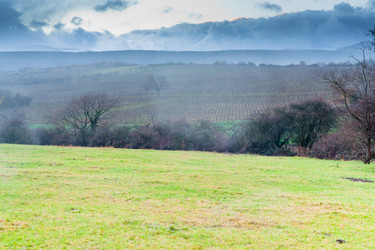 Similar image 1045782