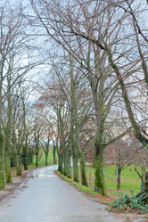 Similar image 1045848