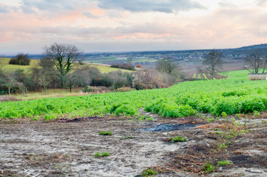 Similar image 1045853