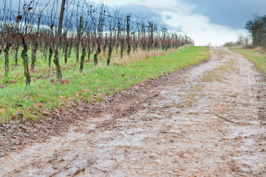 Similar image 1045855