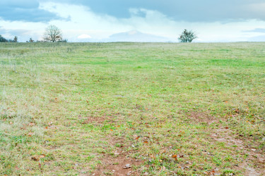 Similar image 1045861