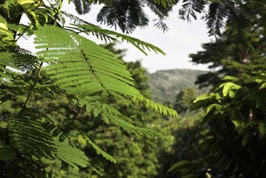 Similar image 1045874