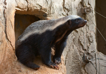 Similar image 1045899