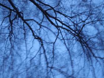 Similar image 1045908