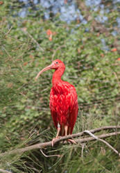 Similar image 1045912