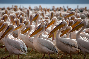 Similar image 1046041