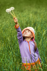 Similar image 1046049