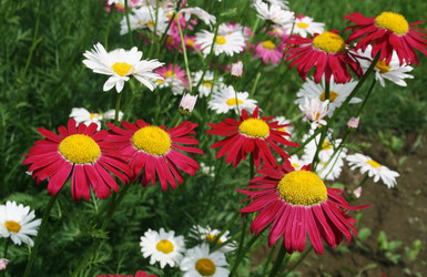 Similar image 1046086