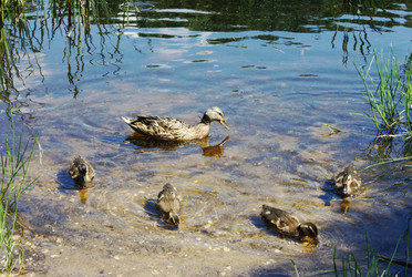 Similar image 1046094