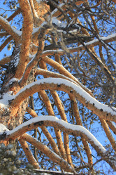 Similar image 1046100