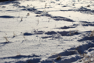 Similar image 1046110