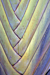 Similar image 1046114