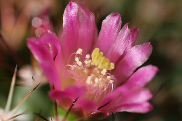 Similar image 1046147