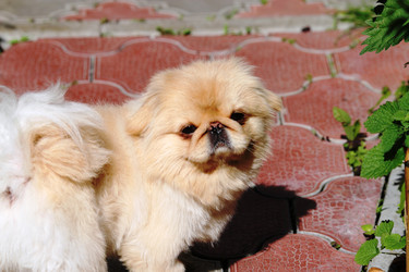 Similar image 1046167