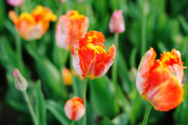 Similar image 1046207