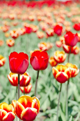 Similar image 1046218