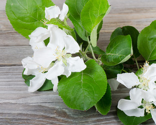 Similar image 1046225