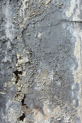 Similar image 1046246