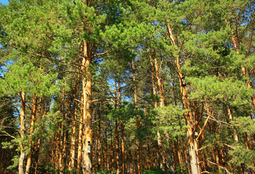 Similar image 1046403