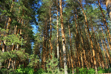 Similar image 1046407