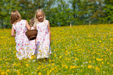 Similar image 1046441