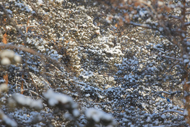 Similar image 1046472