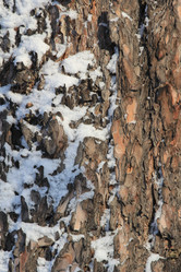 Similar image 1046478